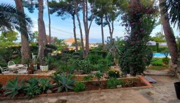 IMS-So2-Marquesa V-004.jpg